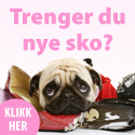 Vinn 3.000 kr til nye sko